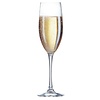 Chef&Sommelier Champagne Glass 240 ml Cabernet Tulip (Pack of 24)
