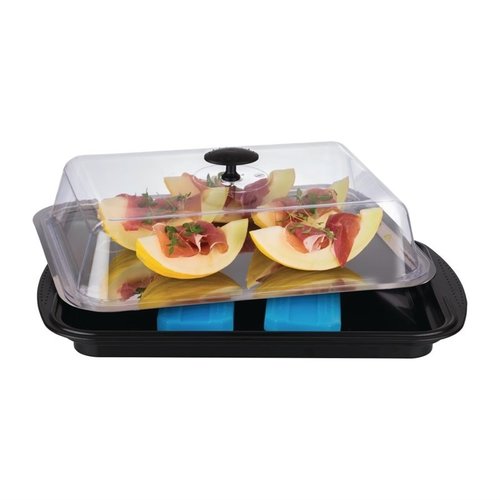 APS Thermo Tray Cooling Set 430 x 290mm APS Thermo Tray Cooling Set 430 x 290mm