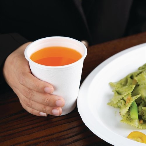 Fiesta Green Fiesta Compostable Bagasse Cups 260ml (Pack of 1000) Fiesta Green Fiesta Compostable Bagasse Cups 260ml (Pack of 1000)