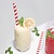 Fiesta Green Fiesta Compostable Individually Wrapped Paper Smoothie Straws Red Stripes (Pack of 250)