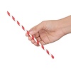 Fiesta Green Fiesta Compostable Individually Wrapped Paper Straws Red Stripes (Pack of 250)