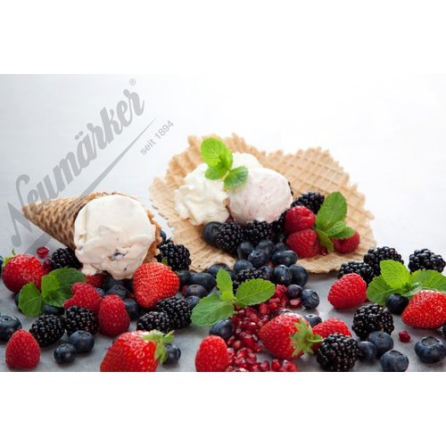 Neumarker Gofrownica podwójna do rożków, 4,4 kW Neumarker Gofrownica podwójna do rożków, 4,4 kW