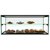 Neumarker Double Rectangular Buffet Display 390 x 920 mm, Black