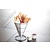 Neumarker Waffle Fries Baking Plates