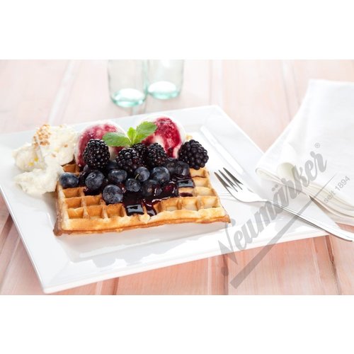 Neumarker Kant Baking Plates Neumarker Kant Baking Plates