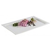 APS Taca GN z porcelany | GN 1/1 APS Taca GN z porcelany | GN 1/1