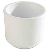 APS Bento Box -ASIA PLUS-