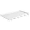 APS tray GN 1/1  -ASIA PLUS- APS tray GN 1/1  -ASIA PLUS-