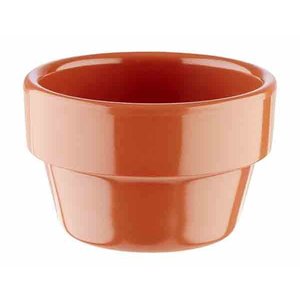 APS bowl -FLOWER POT-
