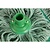 Jantex Bio Fresh Socket Mop Head Green