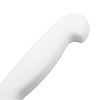 Hygiplas Vegetable Knife 255 mm, Colour Coded with Serrated Blade