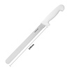 Hygiplas Vegetable Knife 255 mm, Colour Coded with Serrated Blade