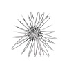 Vogue Light Whisk 12" Vogue Light Whisk 12"