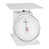 Weighstation Digital Platform Scale to 20 kg