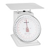 Weighstation Digital Platform Scale to 20 kg
