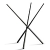 APS buffet stand -ASIA PLUS-