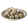 APS bowl -STONE ART-