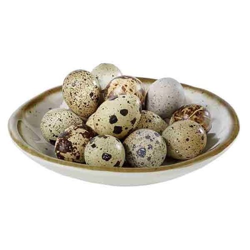 APS bowl -STONE ART- APS bowl -STONE ART-