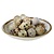 APS bowl -STONE ART-