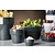 APS bowl -FLOWER POT-