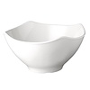 APS bowl -GLOBAL BUFFET-