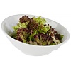 APS bowl -GLOBAL BUFFET-