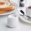 Olympia Mlecznik biały | 43ml (12 szt.) Olympia Mlecznik biały | 43ml (12 szt.)