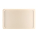 Roltex Polyester Rectangular Serving Tray 530 x 370 mm Beige