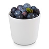APS Bowl - PLUS-