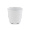 APS Bowl - PLUS-