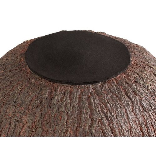 APS Misa -COCONUT- APS Misa -COCONUT-