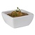 APS Bowl -PURE-