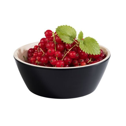 APS Misa -FRIDA- APS Misa -FRIDA-