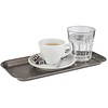 APS Stainless Steel Rectangular Serving Tray 135 x 260 mm APS Stainless Steel Rectangular Serving Tray 135 x 260 mm