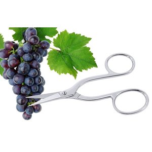 Contacto Grape Scissors