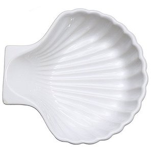Contacto Shell Dish Contacto Shell Dish
