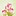 Duni Napkin 3-ply 33 x 33 cm Love Tulips (Pack of 500)