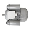Buffalo Motor Fits CP821