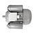 Buffalo Motor Fits CP821