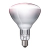 Neumarker Illuminant for Warming Lamps