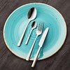 Fine Dine Garda Tea Spoon 18/10 Fine Dine Garda Tea Spoon 18/10