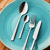 Fine Dine Garda Tea Spoon 18/10 Fine Dine Garda Tea Spoon 18/10