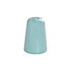 Porland Laguna salt shaker