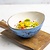 Fine Dine Earth Colours Iris bowl