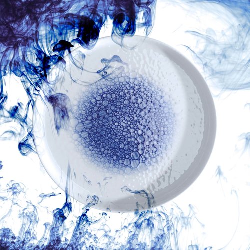 Fine Dine Earth Colours Bow Serenity Fine Dine Earth Colours Bow Serenity