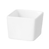 Fine Dine Square Necessity fingerfood dish