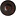 Fine Dine Earth Colours Pasta Plate, Ø280 mm, Bloom