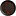 Fine Dine Earth Colours Shallow Plate, Ø190 mm, Bloom