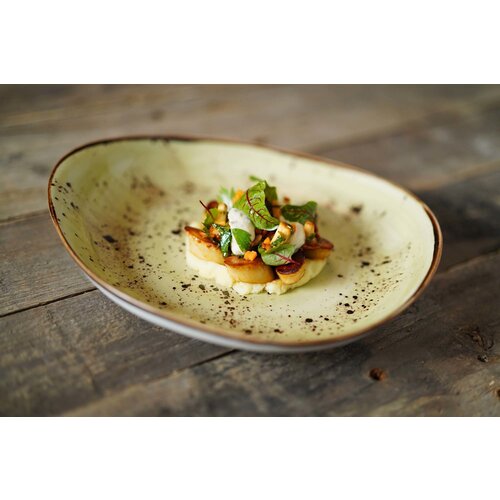 Fine Dine Earth Colours Shallow Plate 200x300 mm, Rectangular, Olive Fine Dine Earth Colours Shallow Plate 200x300 mm, Rectangular, Olive