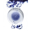 Fine Dine Earth Colours Plate with High flange, Ø290 mm, Serenity